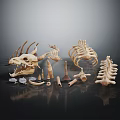 Various 3D Rendered Biological Skeleton Models Display Anatomical Structures On Black Background