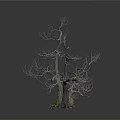 Leafless Tree with Two Main Trunks and Green Moss at Roots on White Background 3d model