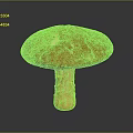 Detailed Orange Mushroom With Cracked Cap And Textured Stem