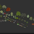 Diverse Tree Species Collection Showcasing Various Foliage Colors And Natural Shapes
