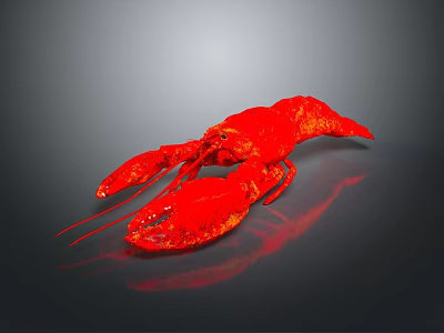 Decorative Red Lobster Garden Ornament For Outdoor Lawn And Patio Areas 3d model
