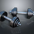 Pair of Fitness Dumbbells With Metal Weight Plates For Home Gym Workout Training
