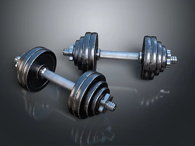 Pair of Fitness Dumbbells With Metal Weight Plates For Home Gym Workout Training 3d model