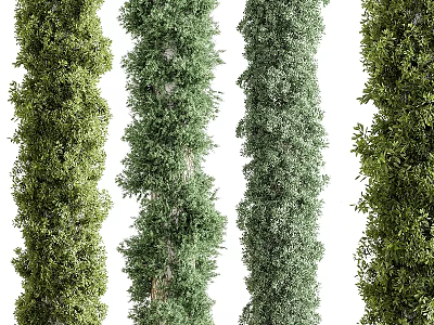 Decorative Green Leafy Columns Covered With Lush Vines And Fresh Foliage 3d model