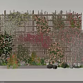 Vines On Bamboo Fence With Various Colored Flowers Small Plants And Stones At Bottom