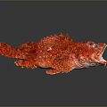 Red Spotted Aquatic Animal With Open Mouth And Unique Fins On Reflective Surface