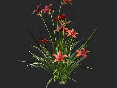 Bonsai Potted Plant With Vibrant Red And Pink Lilies And Long Green Leaves 3d model