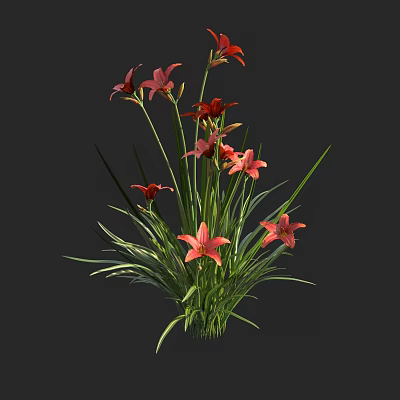 Bonsai Potted Plant With Vibrant Red And Pink Lilies And Long Green Leaves 3d model