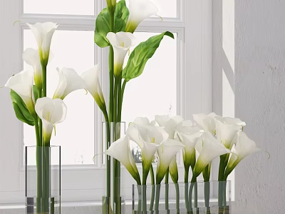 White Calla Lilies in Transparent Glass Vases with Green Leaves and Natural Light 3d model