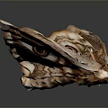 Moth Wings Featuring Intricate Patterns Eye Like Markings Tattered Edges And Brown Purple White Hues