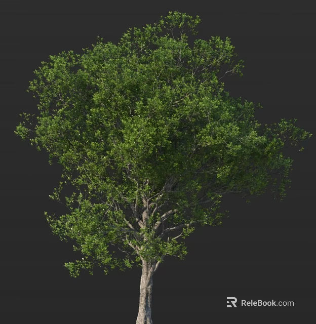 Lush Green Arbor With Dense Foliage And Strong Trunk Natural Appearance 3d model 