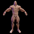 Muscular Male Character 3D Model Showing Strong Biological Muscular Structure With Arms Outstretched