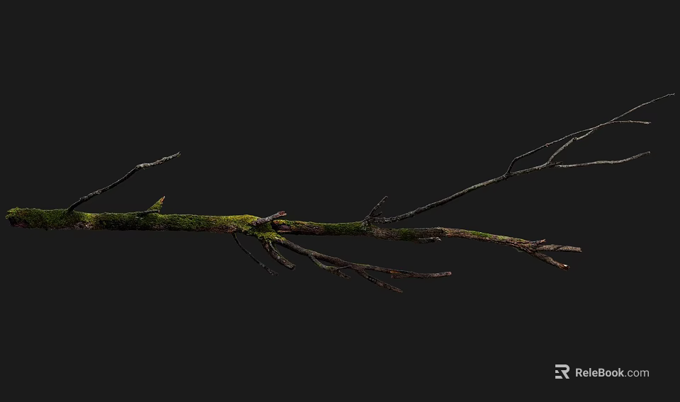 Moss Covered Wooden Branch On Black Background With Natural Texture 3d model 