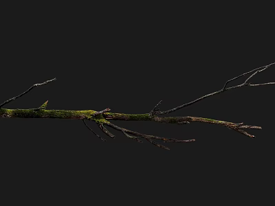 Moss Covered Wooden Branch On Black Background With Natural Texture 3d model