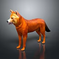 Orange Shiba Inu Dog Standing On Dark Background With Reflective Surface