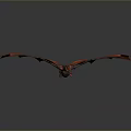Mythical Flying Dragon With Vibrant Red And Orange Wings In Flight