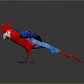 Low Poly Red Blue Yellow Parrot Flying With Spread Wings And Extended Claws 3d model