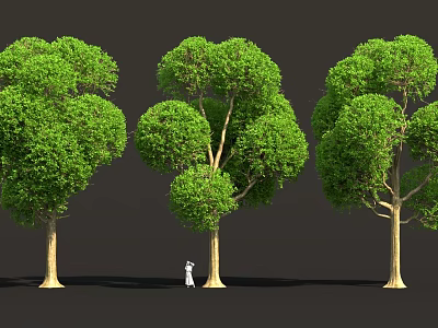 Three Lush Green Trees With Small Person Standing Under Them 3d model
