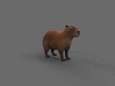 Realistic 3D Capybara Model Standing On Gray Background Rendering 3d model