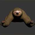 Game Or Movie Character Sloth 3D Model With Brown Fur Extended Claws In Gray Background