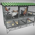 Multi Level Chicken Cage With Green Metal Roof And Various Chickens Chicks