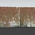 Vines Covering Stone Wall With Green Brown Leaves Small Plants At Base Gray Tiled Ground