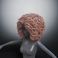 Human Head Mannequin With Voluminous Curly Brown Wig And Extended Arms