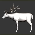 3D Model of Deer With Large Antlers and Light Colored Body Standing on Dark Background