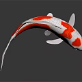White Body Koi Fish With Red Spots Swimming In Dark Background With Reflection 3d model
