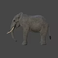 Realistic Gray Elephant with Large Tusks as Game Movie Character