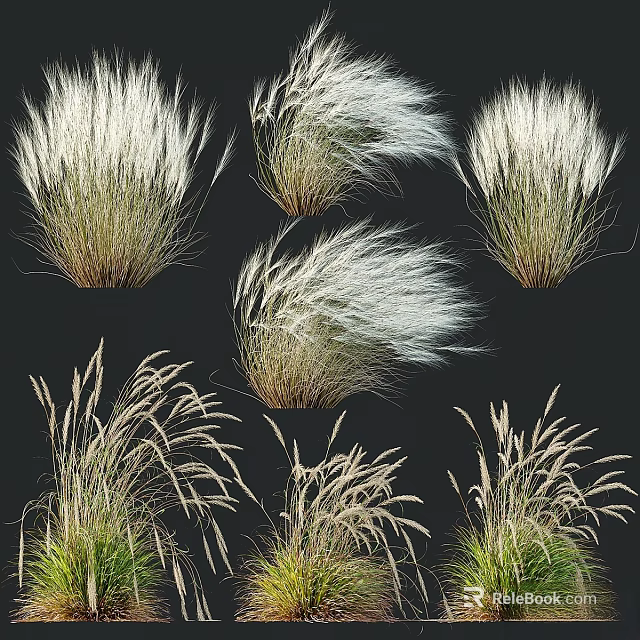 Decorative Ornament Set Featuring Various Ornamental Grass Plants For Home Decor 3d model 