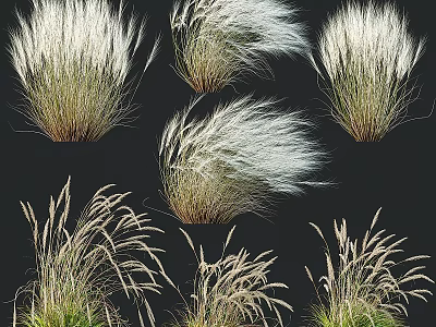 Decorative Ornament Set Featuring Various Ornamental Grass Plants For Home Decor 3d model