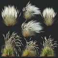 Decorative Ornament Set Featuring Various Ornamental Grass Plants For Home Decor 3d model