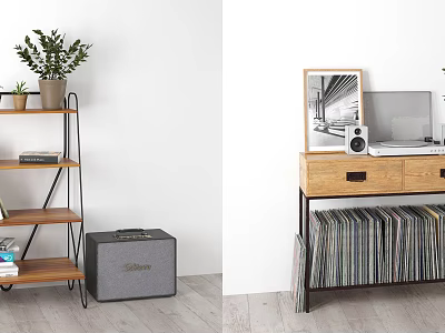 Modern Multipurpose Shelving Unit With Plants Books Drawers Laptop Speakers And Vinyl Records 3d model