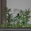 Indoor Garden With Various Green Plants Shrubs Trees Against Light Wall Wooden Panel