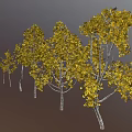 Five Trees with Various Shapes Yellow Leaves and White Trunks Against Gray Background