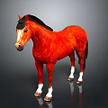 Red Horse with Black Mane White Hooves Standing on Black Background with Reflection 3d model