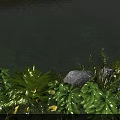 Natural Garden Landscape With Water Edge Lush Ferns Yellow And Blue Flowers And Rocks