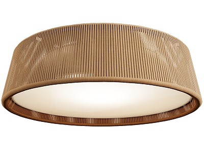 Ceiling lamp model