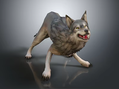 Standing Wolf With Fluffy Fur Open Mouth And Exposed Teeth On Dark Surface 3d model
