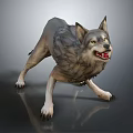 Standing Wolf With Fluffy Fur Open Mouth And Exposed Teeth On Dark Surface
