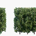 Diverse Garden Shrubs In Various Sizes And Shaped Forms For Landscaping 3d model