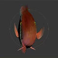Modern Fish Double Line Tip-lip Fish 3d model