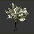 Lush Green Tree With Brown Trunk And Vibrant Leaves On Gray Background