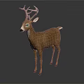 Realistic Brown Deer With Large Antlers Standing On Gray Background