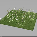 Lush Green Grass Surface Adorned With Small White Flowers And Fresh Plants