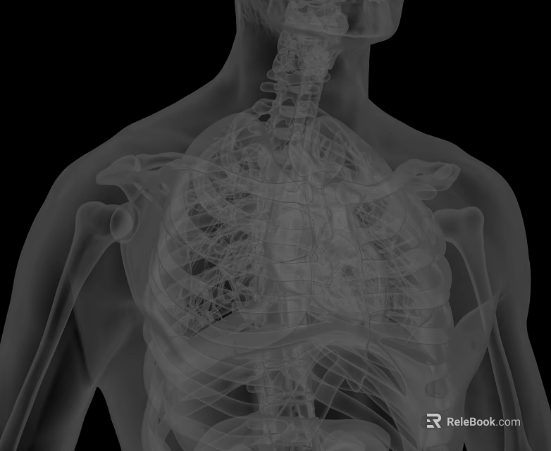 Advanced Medical Imaging Device For 3D Visualization Of Human Thorax Spine And Ribs 3d model 