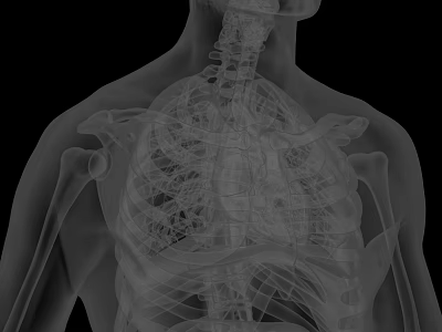 Advanced Medical Imaging Device For 3D Visualization Of Human Thorax Spine And Ribs 3d model
