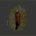 Red Horse With Black Mane Standing On Green Grass Field With White Hooves