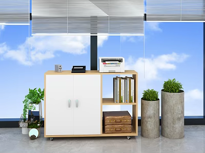 Modern Entryway Side Cabinet With White Doors Drawers Shelves Folders And Green Plants By Window 3d model